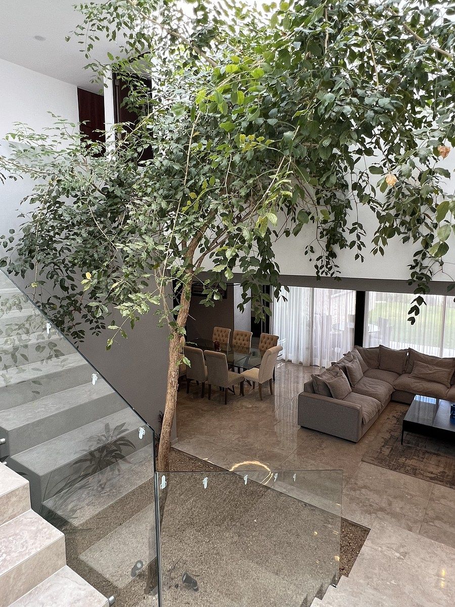 Casa em Temozón Norte, Mérida, foto 10 de 50