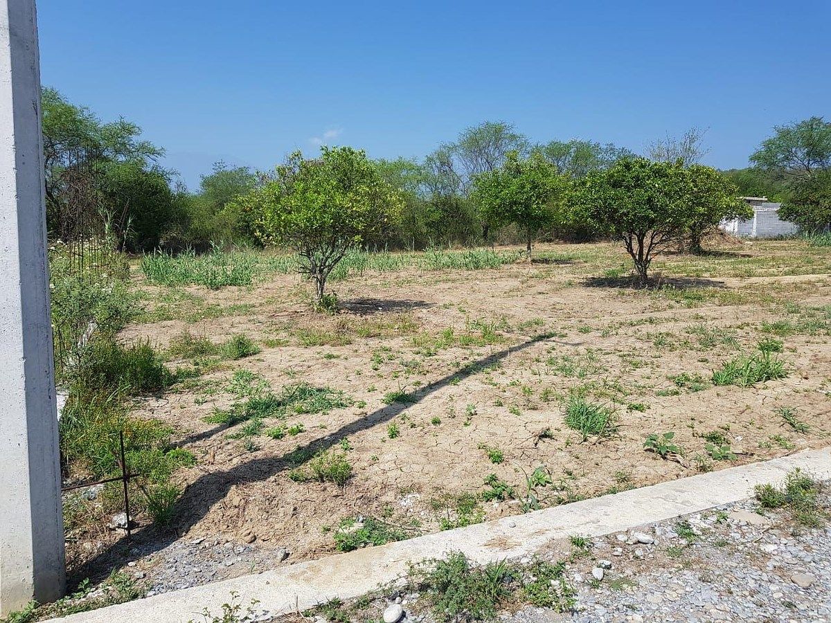 Lote em El Cerrito, Allende, foto 3 de 5