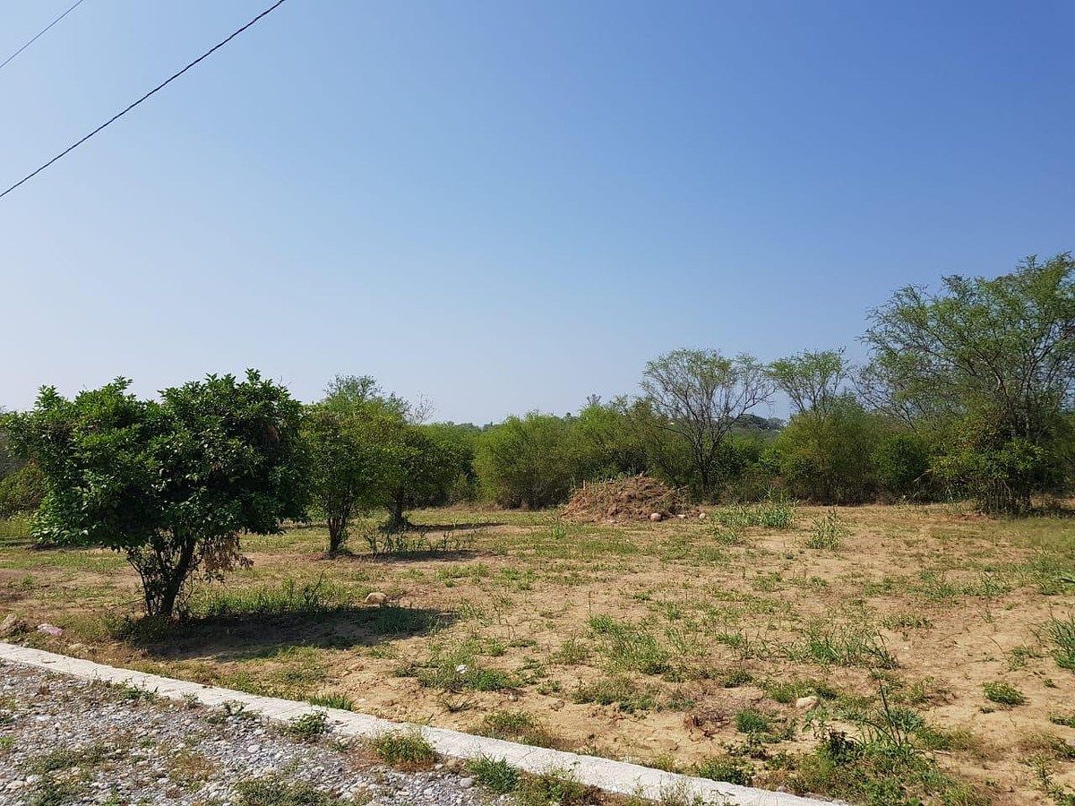 Lote em El Cerrito, Allende, foto 4 de 5