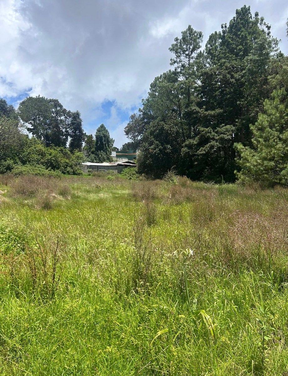 Terreno en San Diego, San Cristóbal de Las Casas, foto 8 de 16