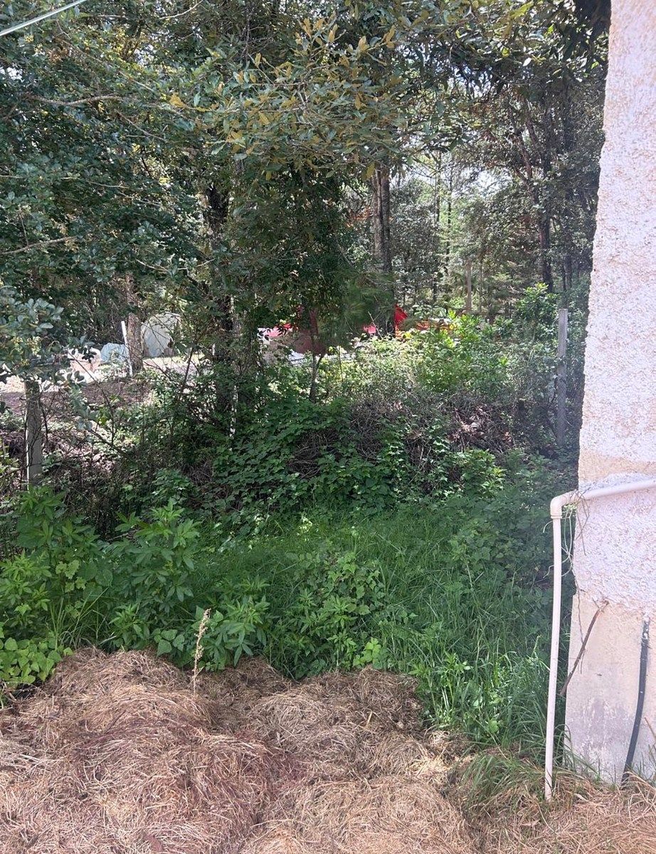 Terreno en San Diego, San Cristóbal de Las Casas, foto 15 de 16