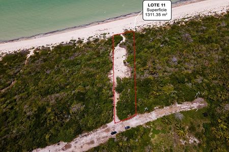 🌴 VENTA - TERRENO FRENTE AL MAR EN PRIVADA MARAMAR - SISAL🌊 💰 $6,580,000 MXN