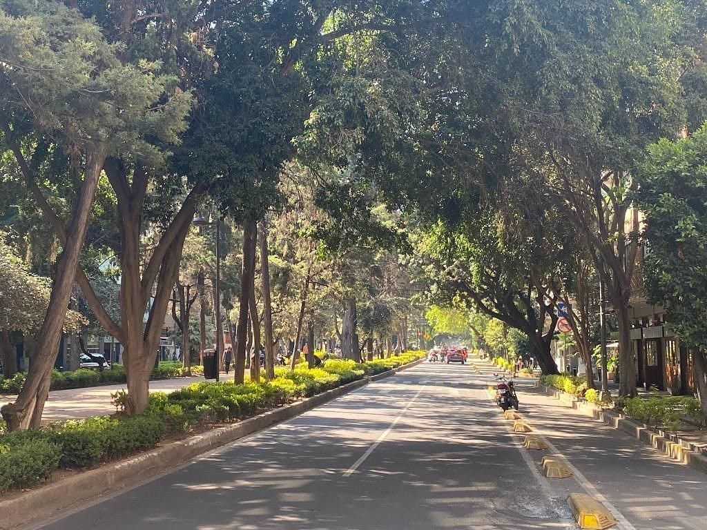 Departamento en Polanco V Sección, Miguel Hidalgo, foto 30 de 30