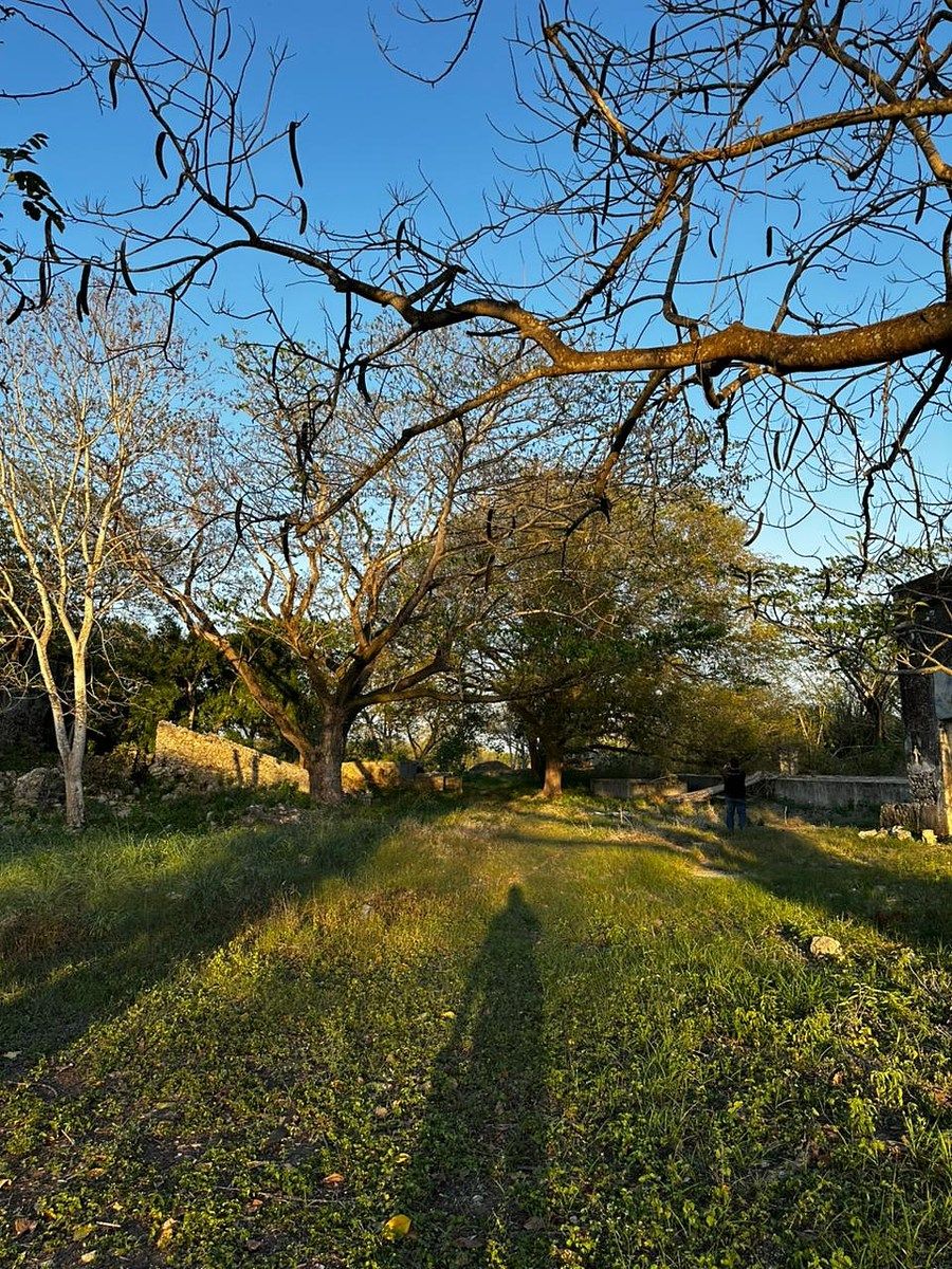 Lote em Mérida Centro, Mérida, foto 8 de 9