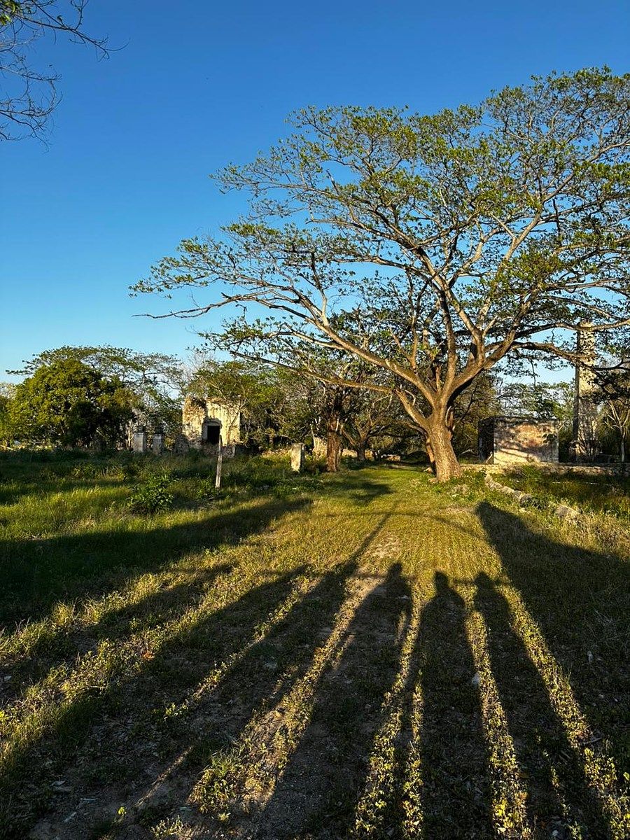 Lote em Mérida Centro, Mérida, foto 7 de 9