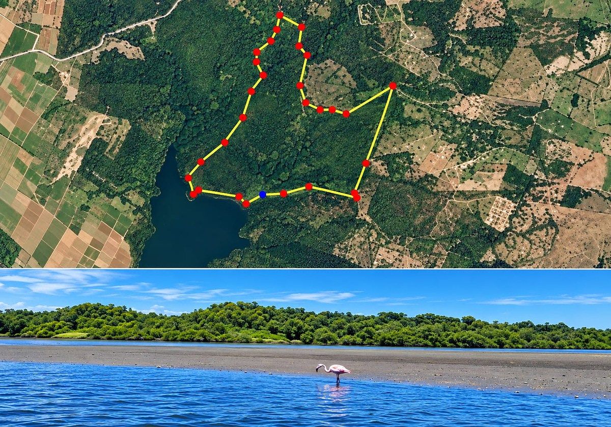 Terreno de praia virgem Cocuyos Tomatlan Jalisco a 90 km de Vallarta, foto 1 de 6