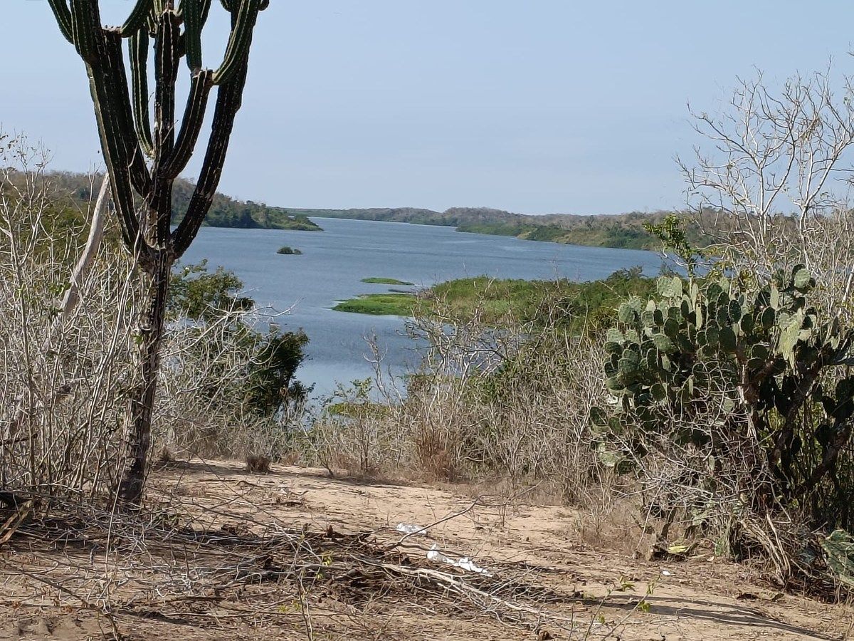 Lote em Presa Cajón de Peña (La Presa), Tomatlán, foto 2 de 6
