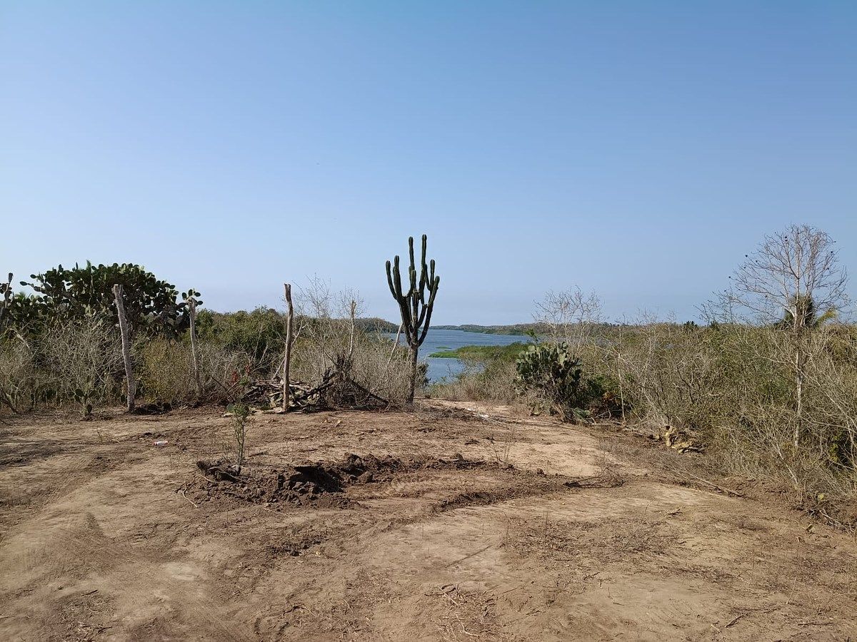 Lote em Presa Cajón de Peña (La Presa), Tomatlán, foto 3 de 6