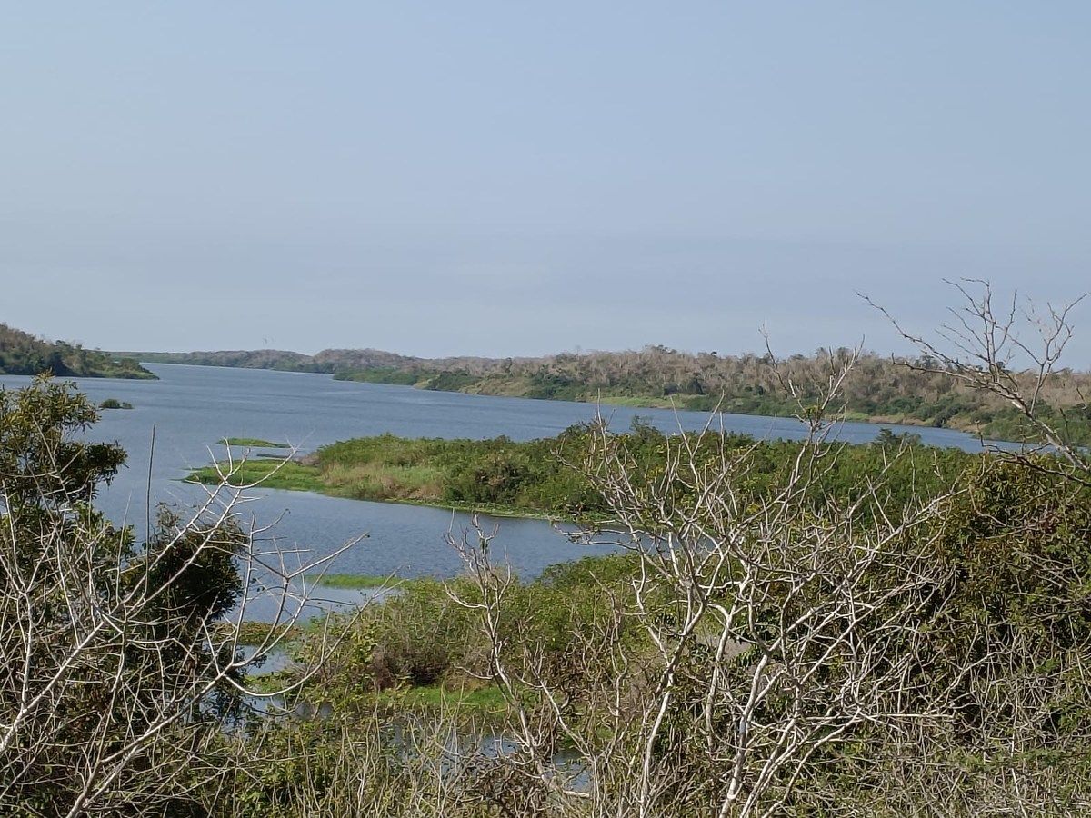 Lote em Presa Cajón de Peña (La Presa), Tomatlán, foto 6 de 6