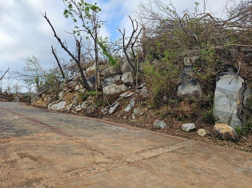 Lote em Brisas del Marqués, Acapulco de Juárez, foto 3 de 7