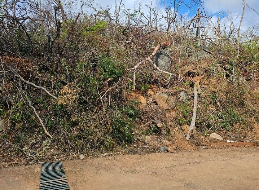 Lote em Brisas del Marqués, Acapulco de Juárez, foto 4 de 7
