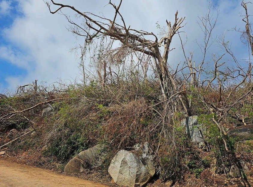 Lote em Brisas del Marqués, Acapulco de Juárez, foto 6 de 7