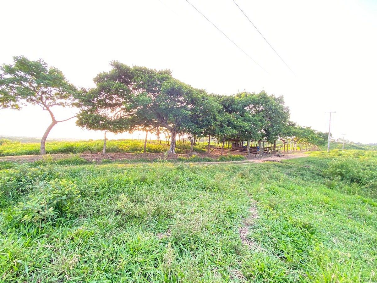 Rancho en Santiago Yaveo, Santiago Yaveo, foto 21 de 31