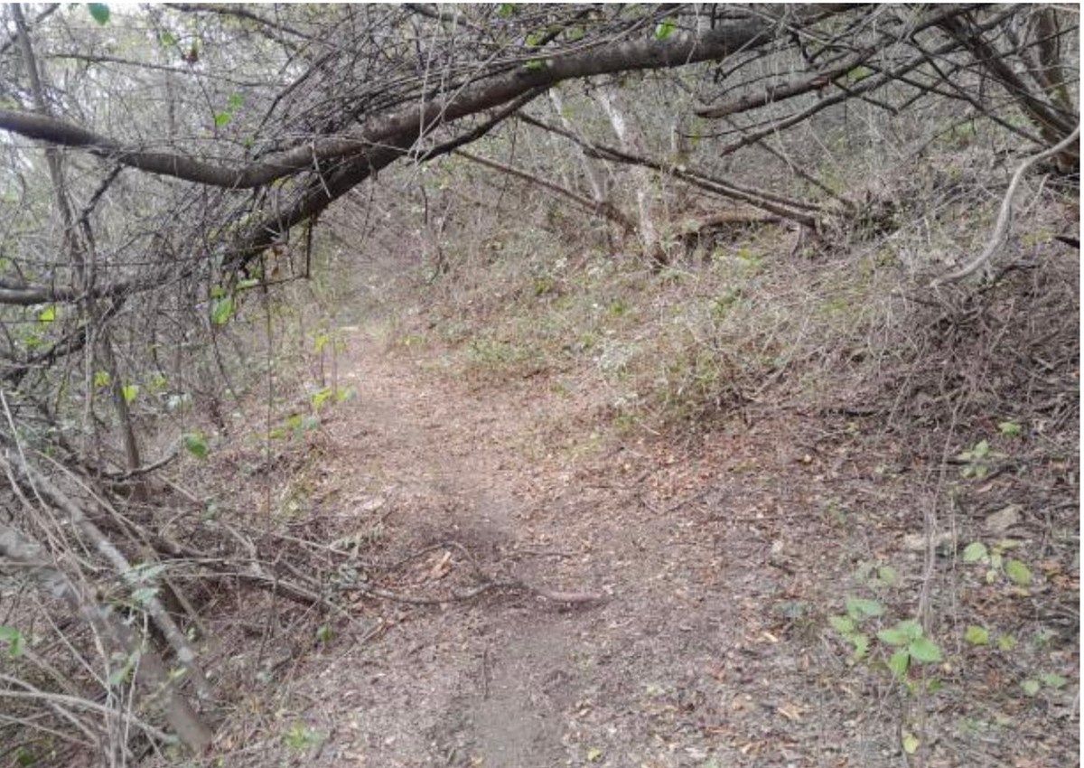 Lot in Cieneguilla, Santiago, photo 10 of 12