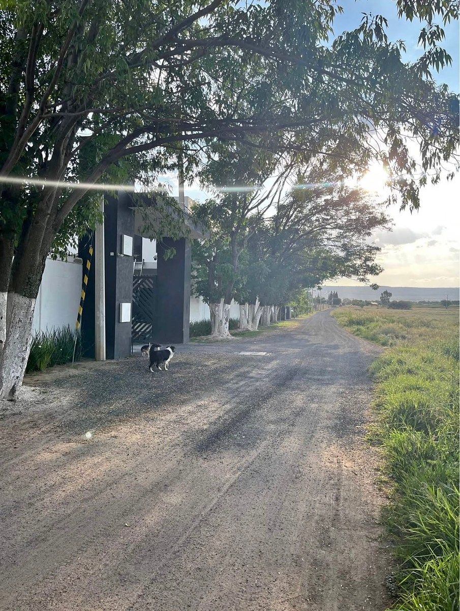 TERRENOS EM VALLADOLID, foto 1 de 7