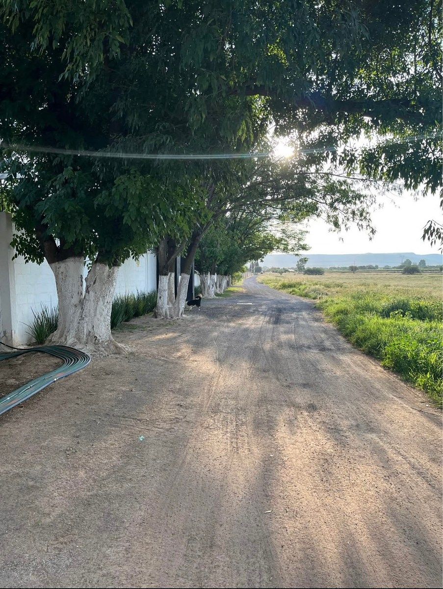 Lote em Valladolid, Jesús María, foto 3 de 7