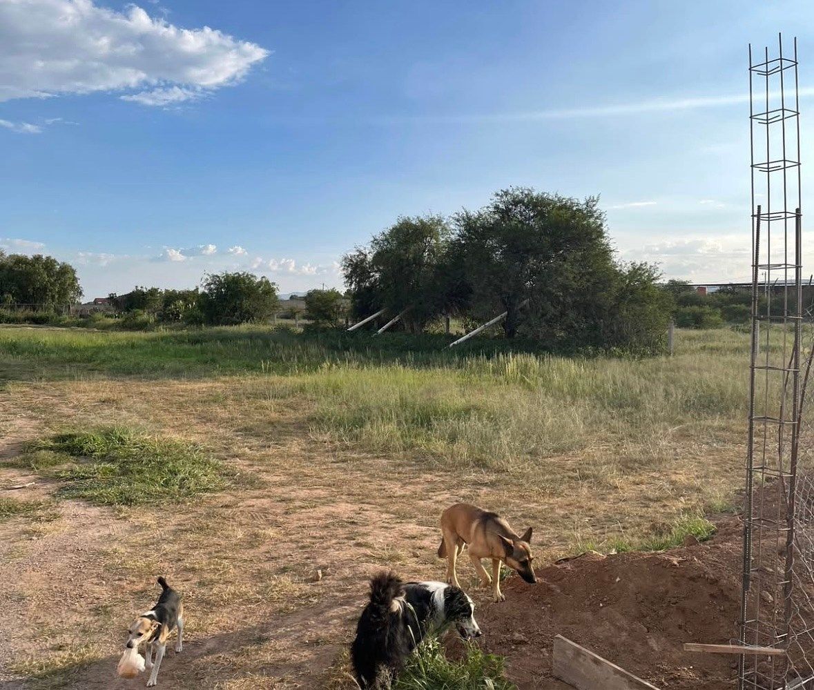 Lote em Valladolid, Jesús María, foto 4 de 7