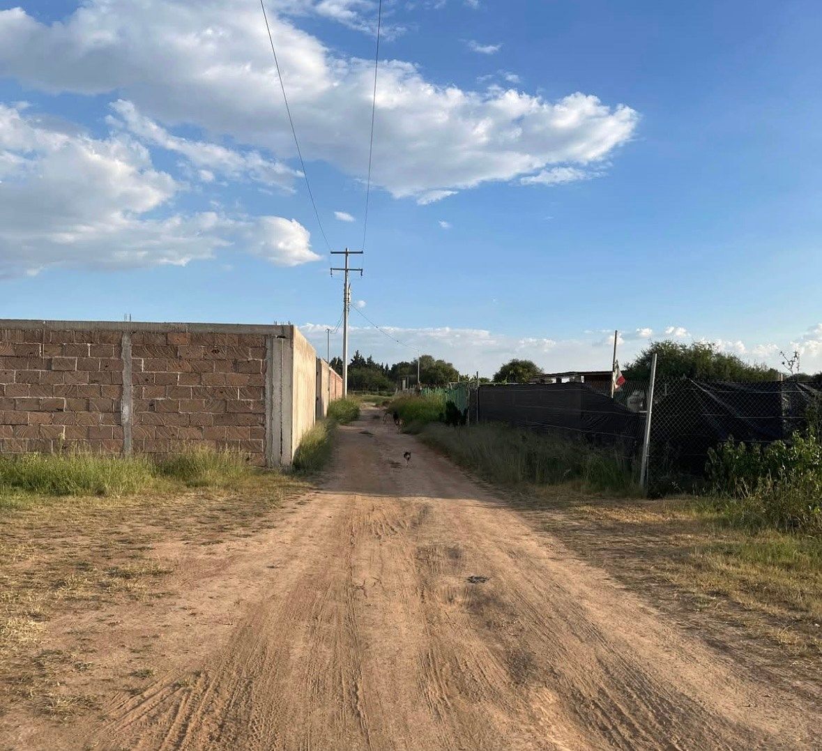 Lote em Valladolid, Jesús María, foto 5 de 7