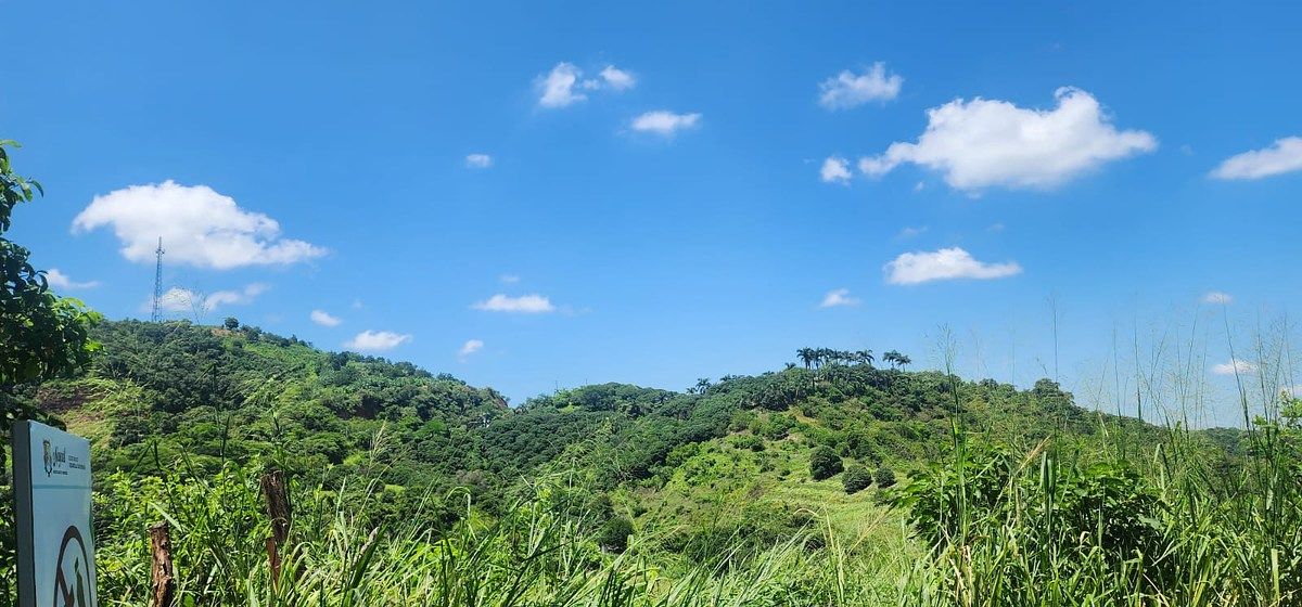 Terreno en El Trapichillo, Tepic, foto 7 de 7