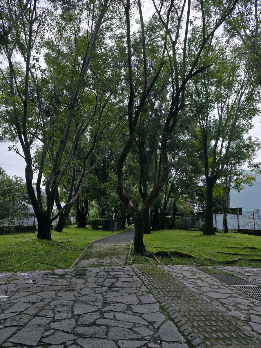 Terreno en La Mojonera, Zapopan, foto 10 de 17