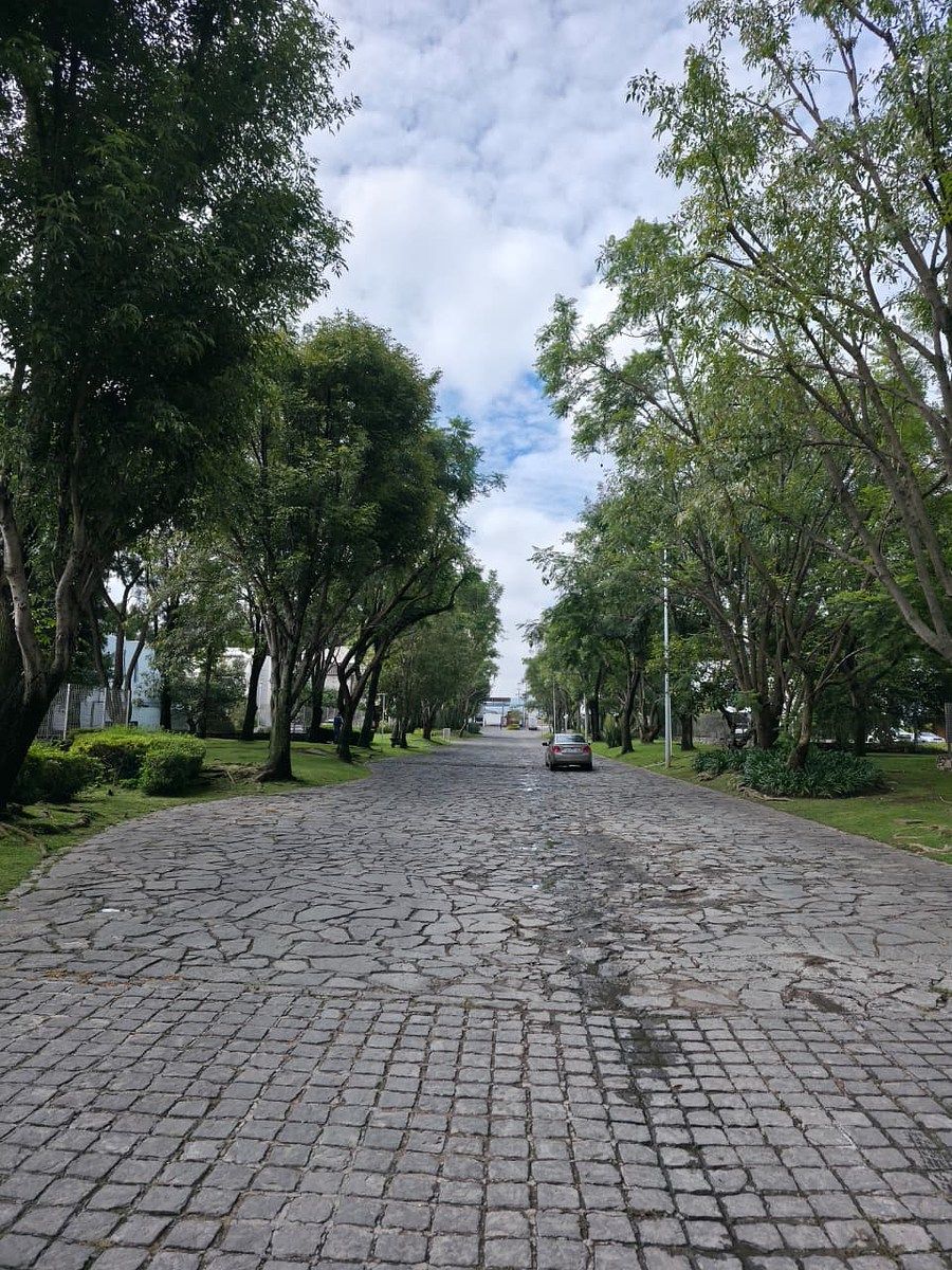 Terreno en La Mojonera, Zapopan, foto 11 de 17