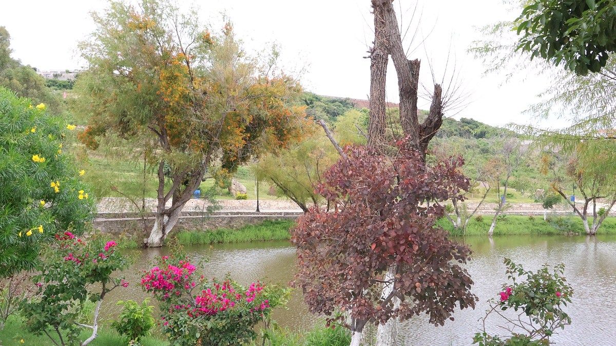 Lot in Chulavista, Chapala, photo 8 of 35