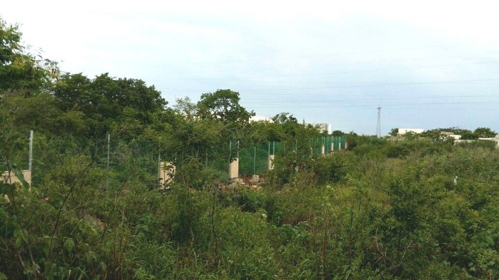Terreno en Temozón Norte, Mérida, foto 13 de 13