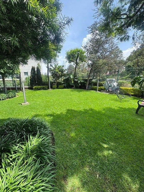 Departamento en Lomas Verdes (Conjunto Lomas Verdes), Naucalpan de Juárez, foto 3 de 36