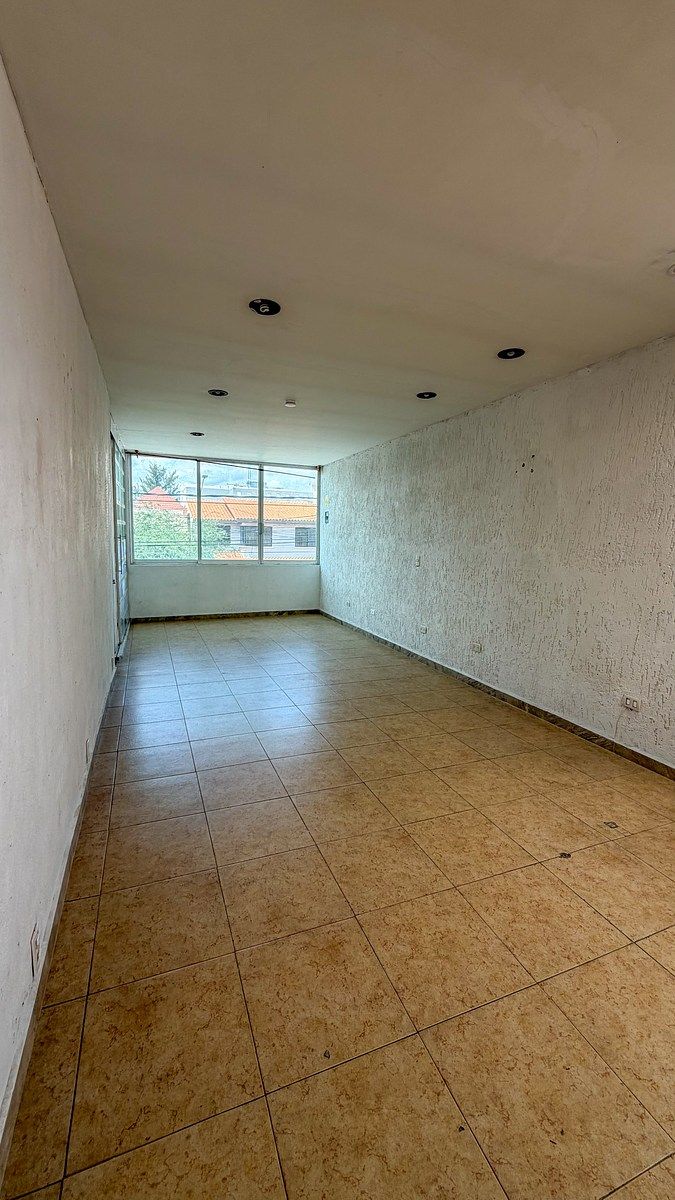 Oficina en Bosques del Prado Norte, Aguascalientes, foto 19 de 27