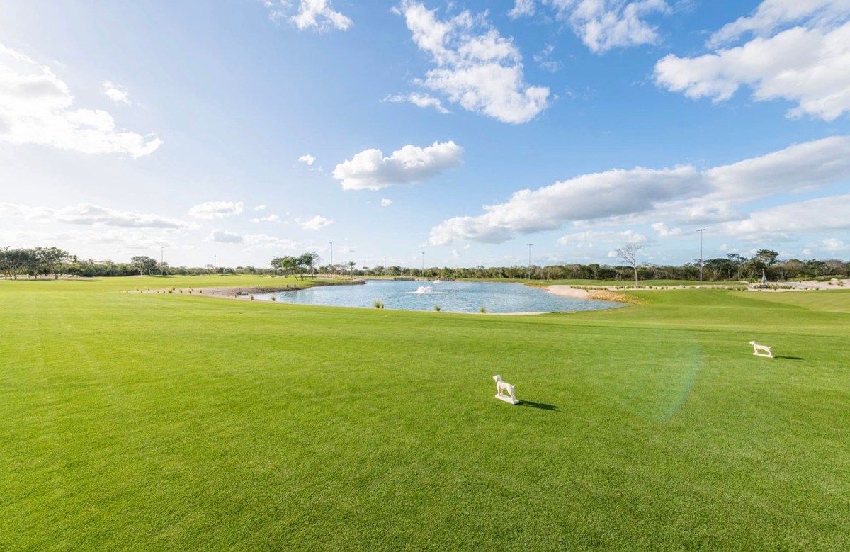 SALE OF LAND IN PROVINCE 483 m2, photo 1 of 6