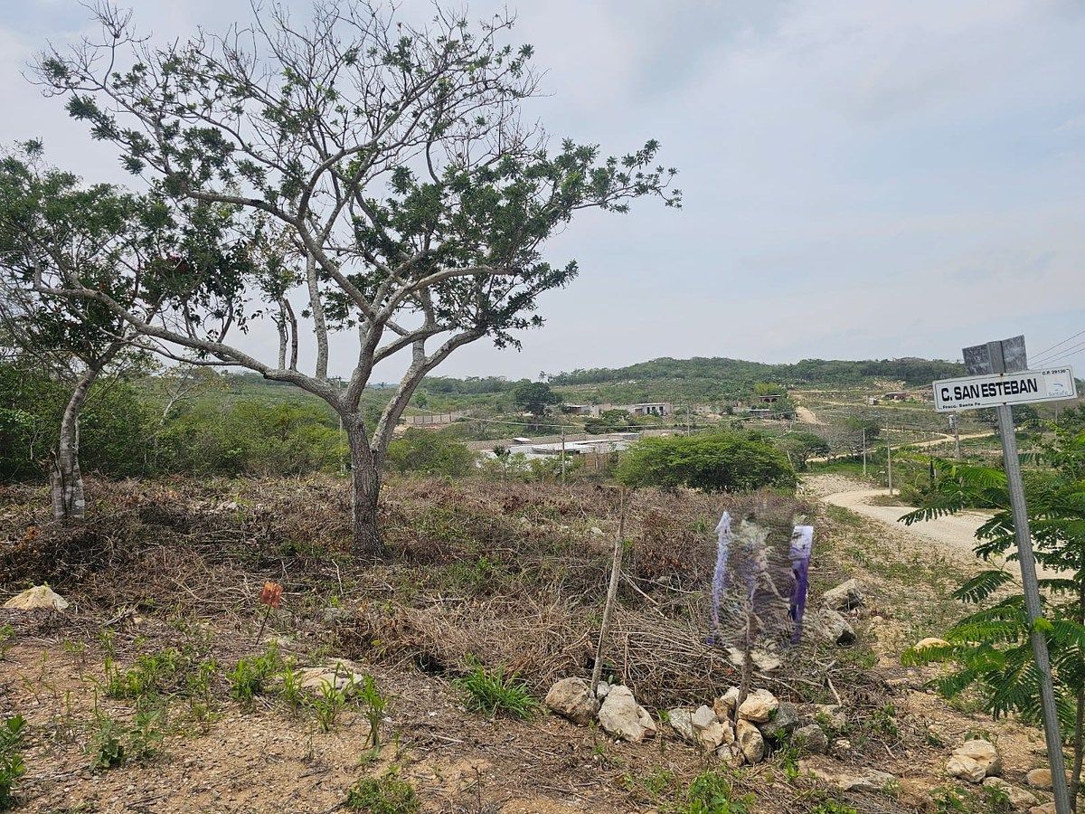 Lote em Berriozabal Centro, Berriozábal, foto 5 de 12