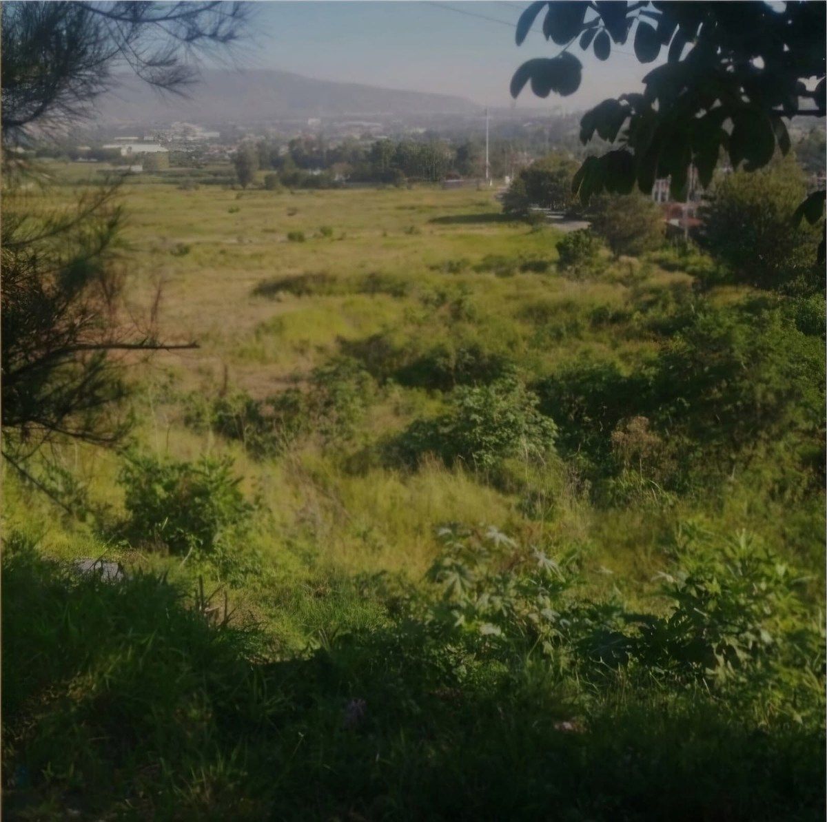 Terreno à Venda em La Pedrera, Tlajomulco | 28,5 Ha Ideal para Desenvolvedores, foto 1 de 1