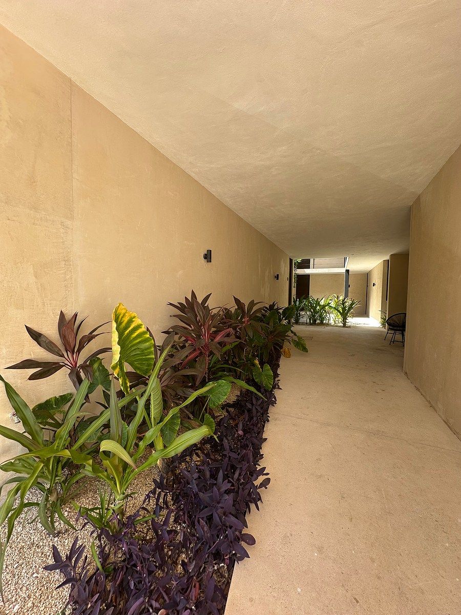 Departamento en Benito Juárez Nte, Mérida, foto 11 de 14