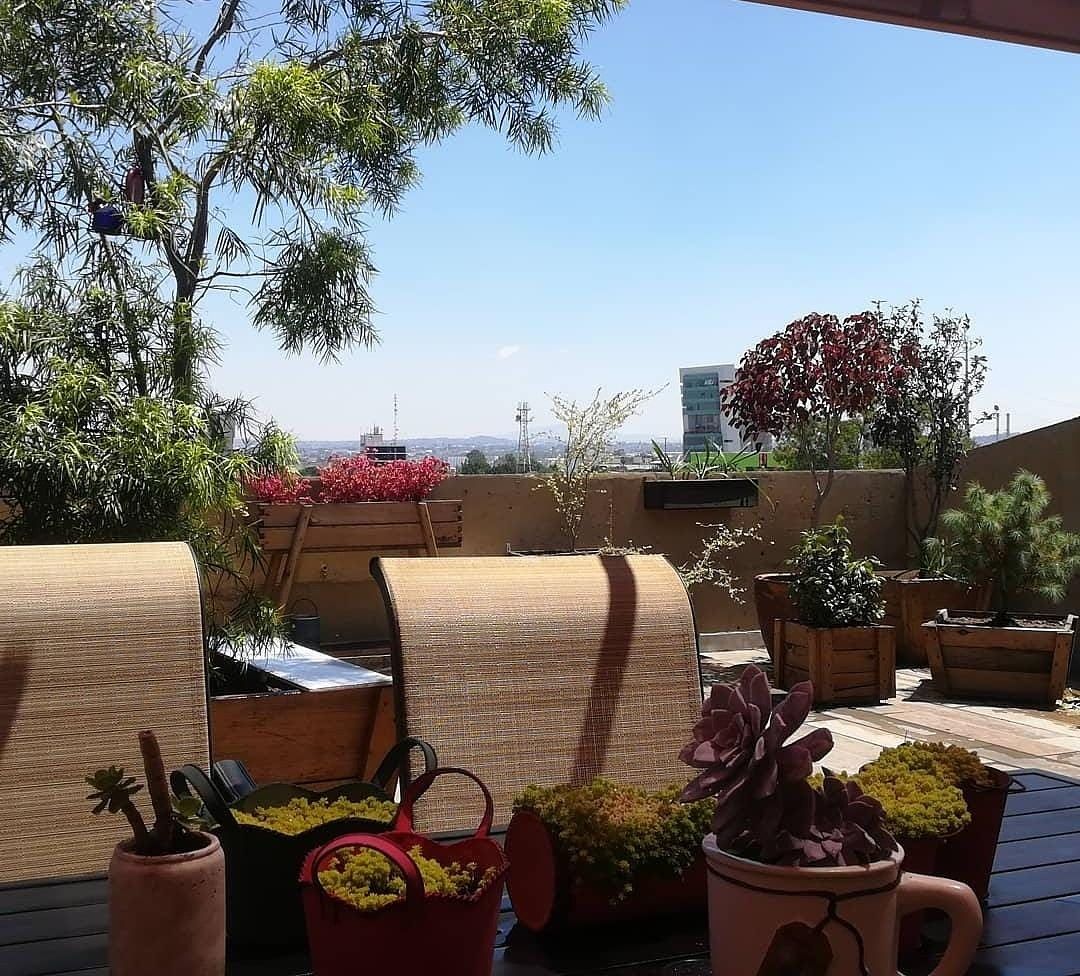 Apartamento em Arcos Vallarta, Guadalajara, foto 2 de 12