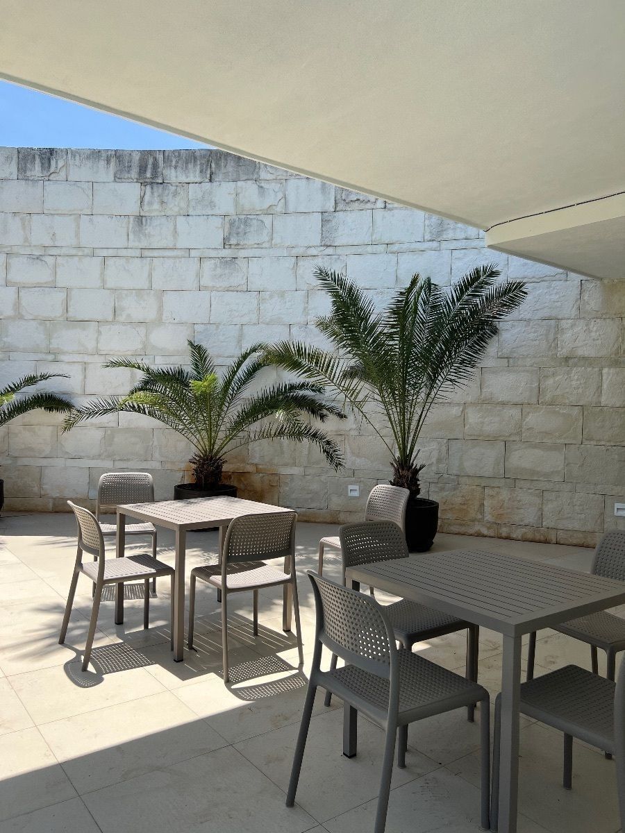 Lot in Dzidzilché, Mérida, photo 7 of 21