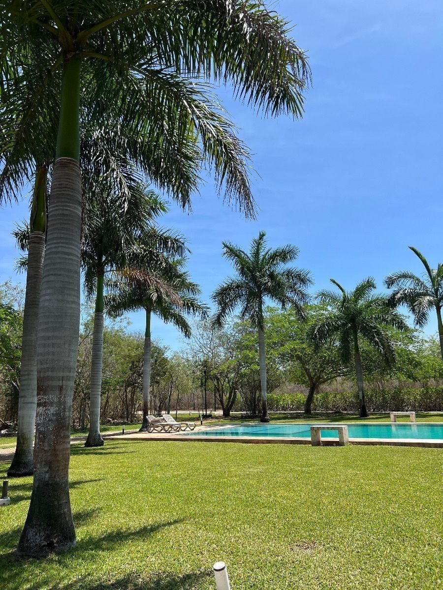 Terreno en Dzidzilché, Mérida, foto 13 de 19