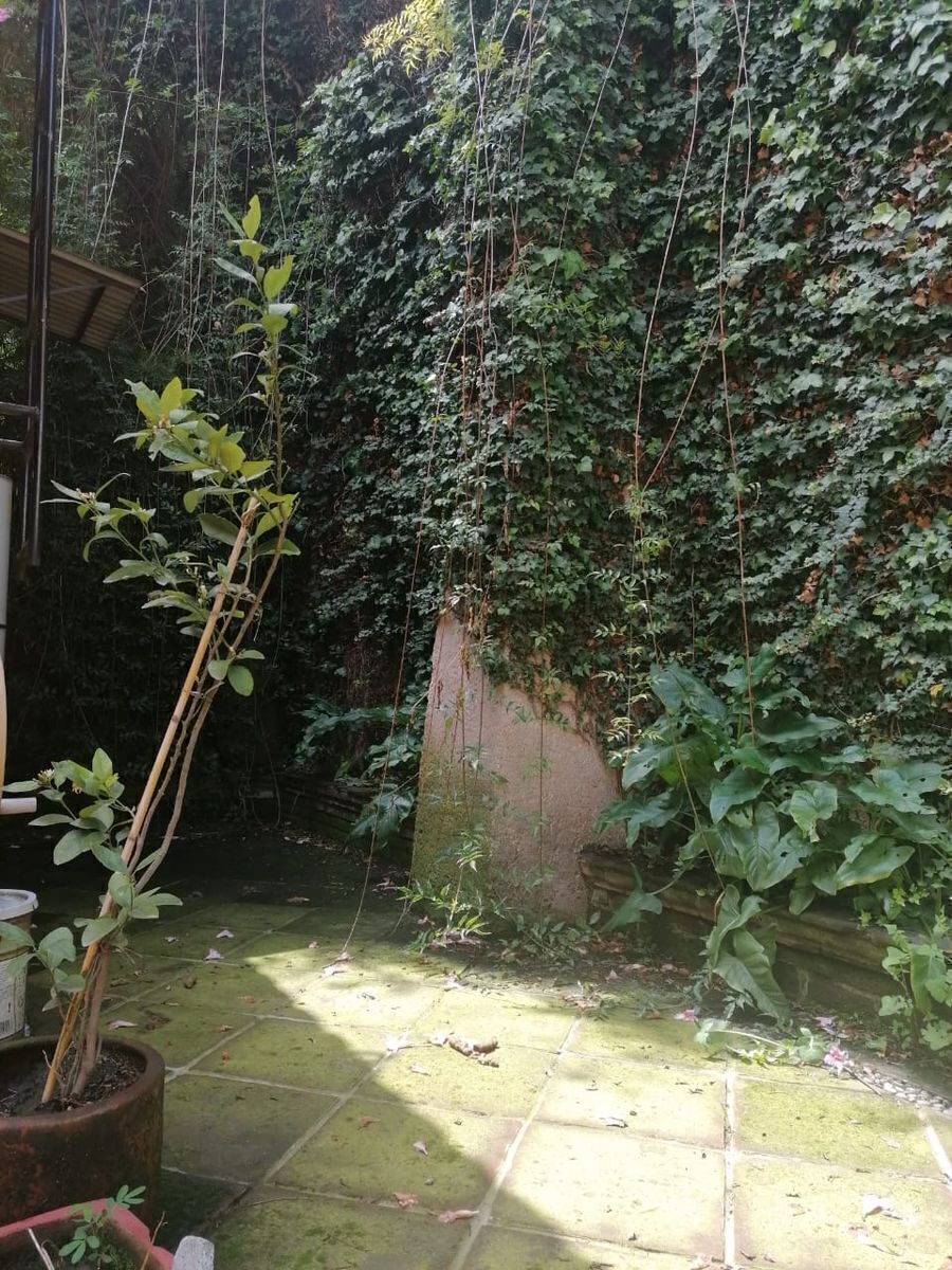 Casa en condominio en El Molino, Cuajimalpa de Morelos, foto 9 de 34