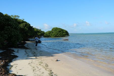 Macrolote de 437 Has con 1.6 km de Playa en Xcalak – Oportunidad de Inversión Su