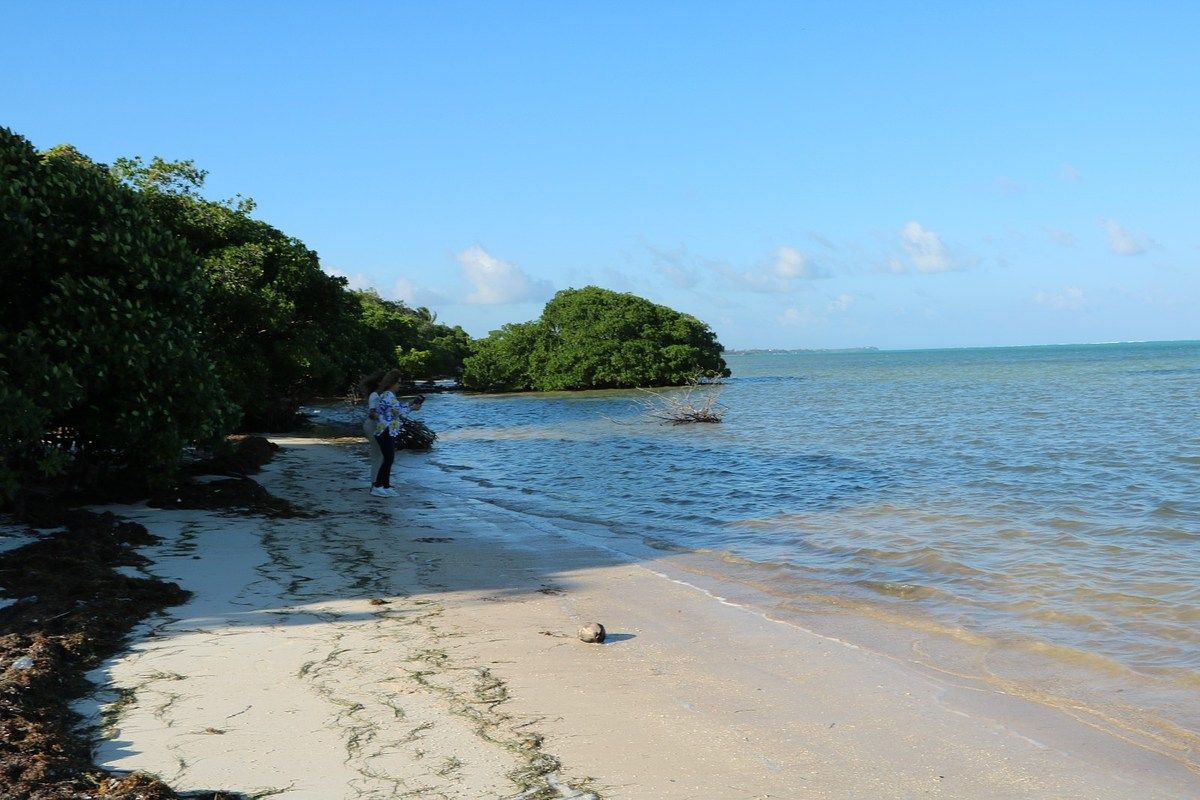 Macrolote de 437 hectares com 1,6 km de praia em Xcalak – Oportunidade de Investimento, foto 1 de 7