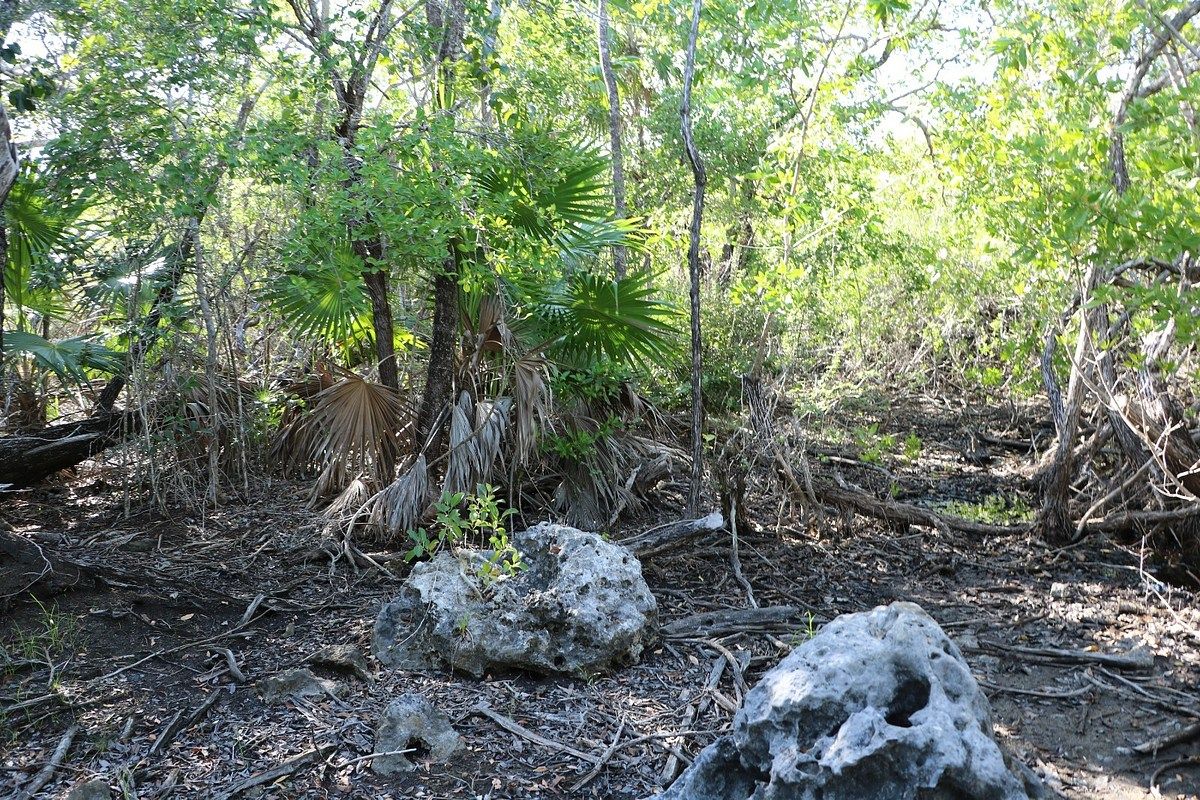 Lote em Xcalak, Othón P. Blanco, foto 6 de 7