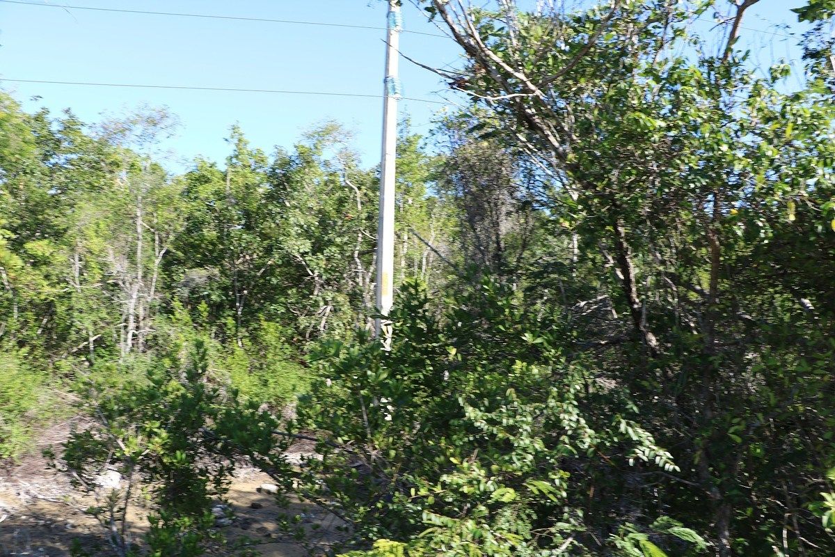 Lote em Xcalak, Othón P. Blanco, foto 5 de 7