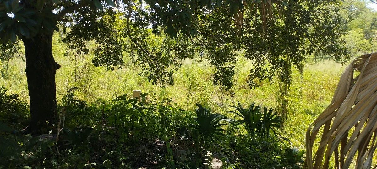 Terreno en Seyé, Seyé, foto 3 de 7
