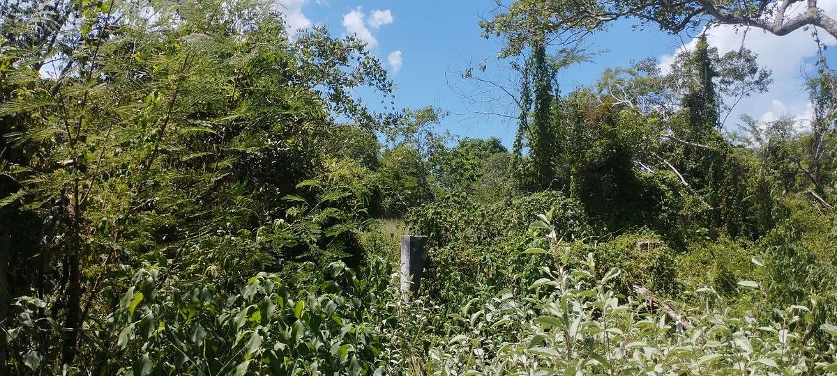 Terreno en Seyé, Seyé, foto 4 de 7