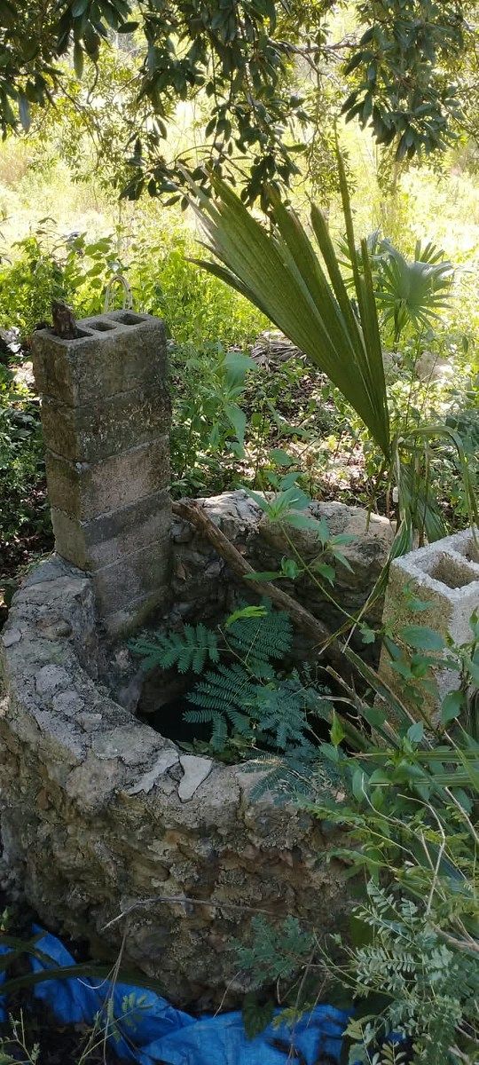 Terreno en Seyé, Seyé, foto 7 de 7