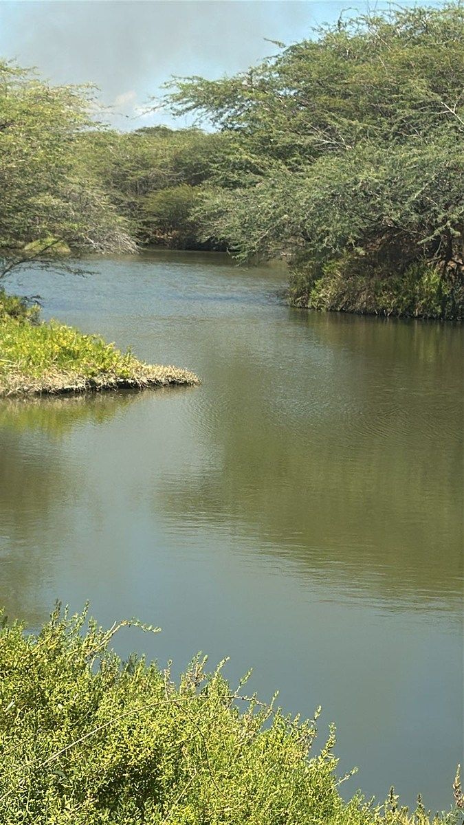 Terreno en San Fernando de Monte Cristi, foto 4 de 4