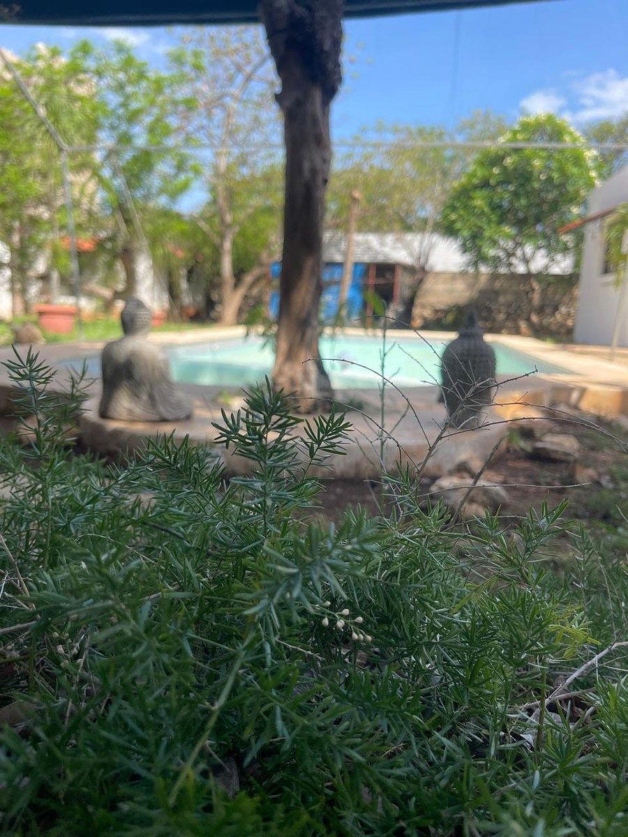 Casa en San Marcos Nocoh, Mérida, foto 3 de 12