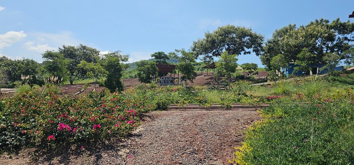 Lot in Tuxcueca, Tuxcueca, photo 4 of 18