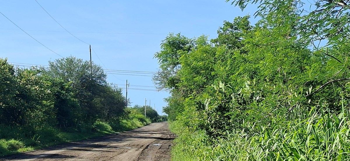 Terreno en Altamira, Altamira, foto 6 de 10