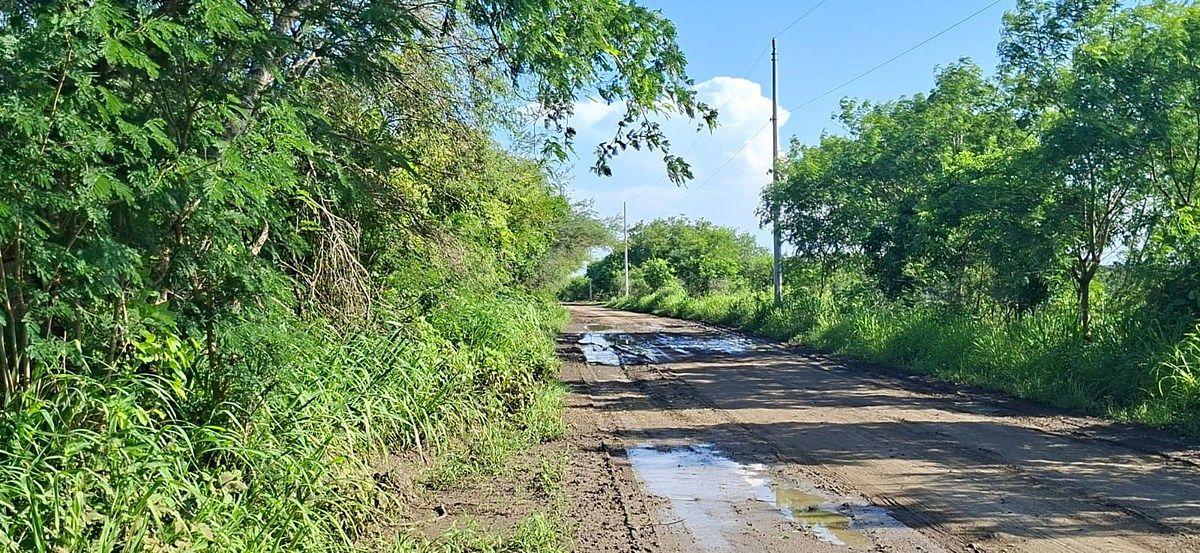Terreno en Altamira, Altamira, foto 8 de 10