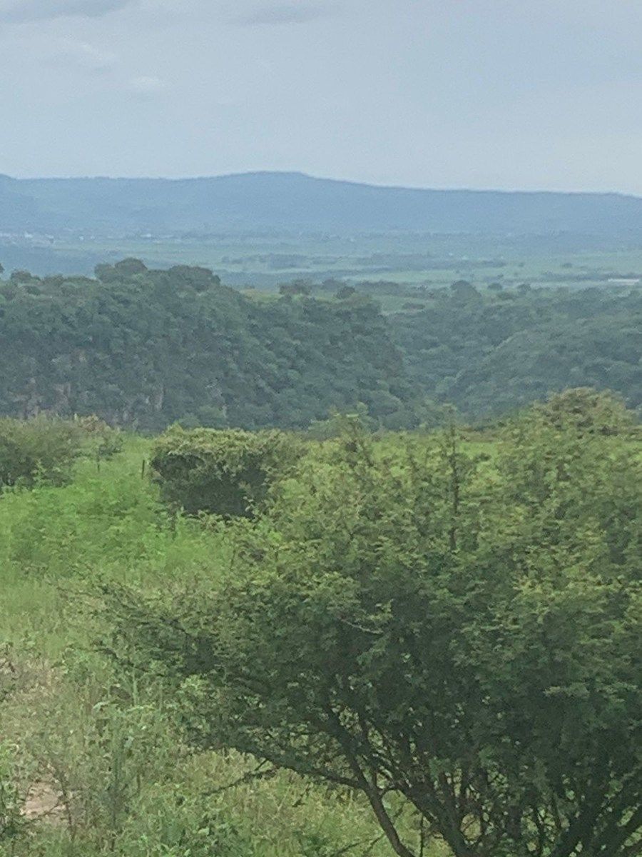🏡 RUSTIC LAND | El Huaje, Tonalá, Jal., photo 1 of 5